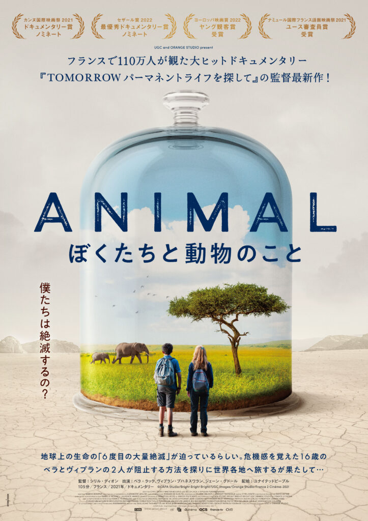 2025/1/11「ANIMAL ぼくたちと動物のこと」